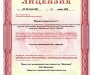Лицензия на оказание медицинской деятельности центра "Мелаграно"